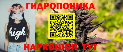 гашик Балашиха